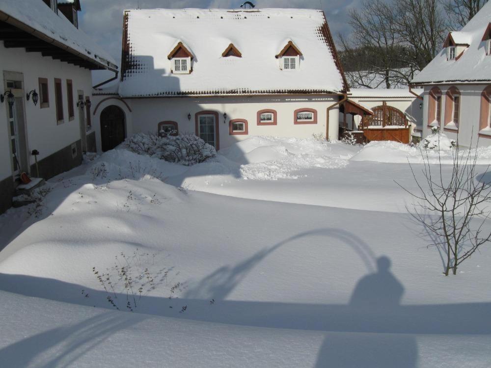 ホテル チャプクフ スタテック Hořičky エクステリア 写真